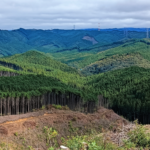 森林技術3月号に掲載されました