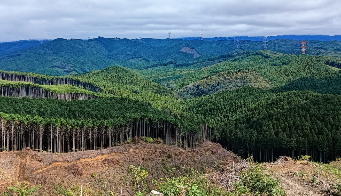 森林技術3月号に掲載されました