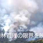森林火災は、森林管理の限界