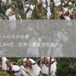 綿花栽培の制約が示す木の糸の必要性