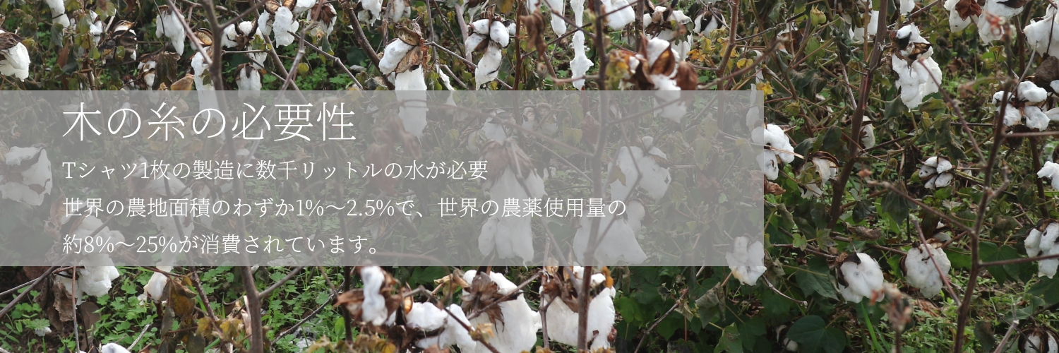 綿花栽培の制約が示す木の糸の必要性